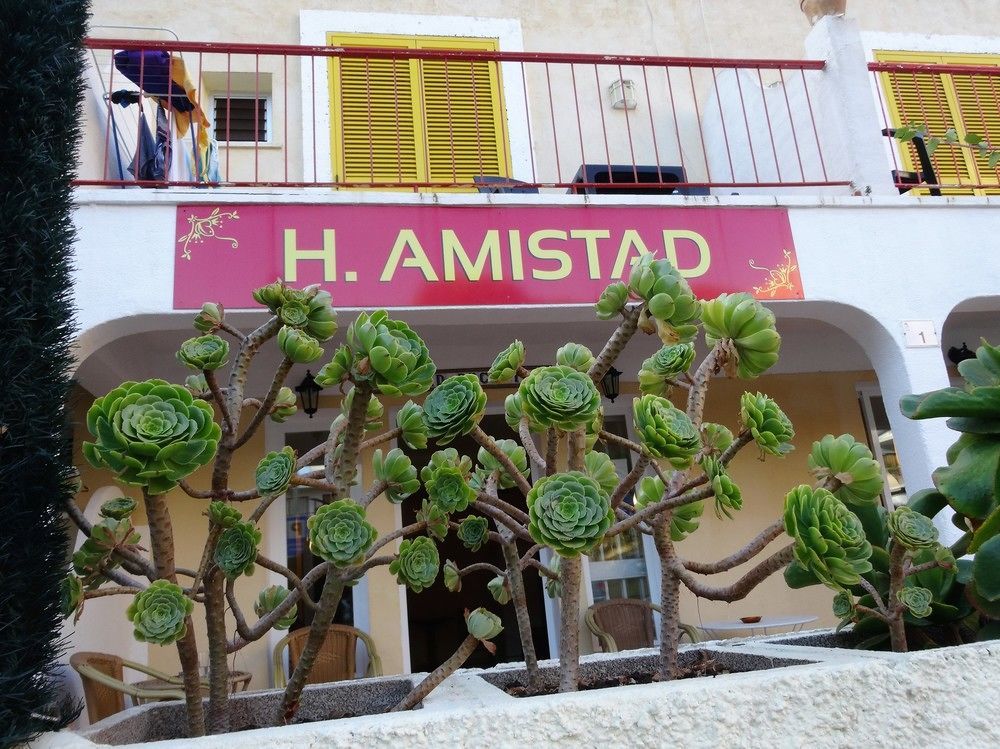 Flor Amistad Peguera Exterior foto